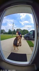 54K views · 142 reactions | Delivery attempted | Johnny Valentine | Facebook