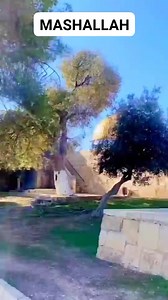 Tuje Rab ne kya banaya makka Madine wale#MADINA@YA HUSAIN | Aavej Ramdul