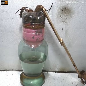 197K views | Balloon Mouse Trap/Best Balloon Mouse Trap Homemade With Water Glasss/Electric Trap Credit: Best Mouse Trap - youtu. be/bY_0ivUlTqU | Sarcashit | Facebook