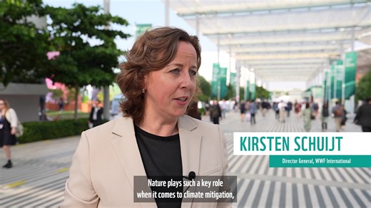 Țările participante la #COP28 sunt de acord să renunțe la combustibilii fosili, dar nu reușesc să se angajeze la o eliminare completă. Acest lucru este foarte important, deoarece rezultatul semnalează începutul sfârșitului pentru era combustibililor fosili. Urmează să vedem cum se va trece de la acord la fapte. Citește mai mult: https://bit.ly/3T9LpEp | WWF Romania