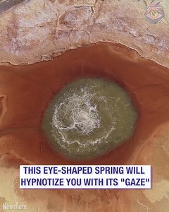 74K views · 131 reactions | Esta fascinante fuente se parece al ojo humano  | Genial | Facebook