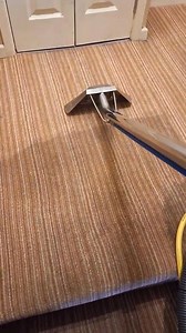 10K views · 17 reactions | ✨Fresh, Clean, and Inviting Carpets✨...