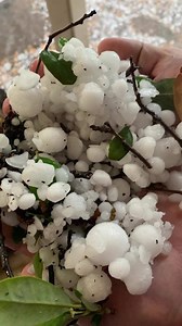 3.4K views · 16 reactions | WATCH: Here is a compilation of the video and photos we received from viewers last night. Thanks to everyone who submitted video or photos. If you have video or photos, we want to see them! Send us a message on Facebook or email them to us at news@kmid.tv | ABC Big 2 News - KMID | Facebook