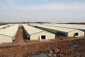 [Hot Item] Easy Installation Low Price Steel Structure Poultry Farming Chicken House Building