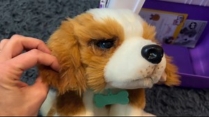 Watch Honest Review of Little Live Pets Puppy Patches on Amazon Live