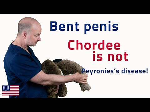 Chordee is not Peyronie’s disease! | UroChannel