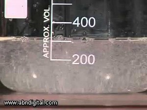 eyeSlices with inventor Kerryne Krause-Neufeldt