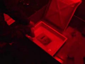 Wet Collodion Photographic Process