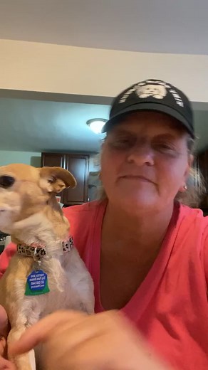 Tiny Paws Rescue on Reels