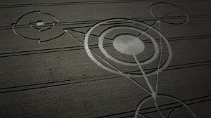 Crop Circles: Evidence of Intelligence