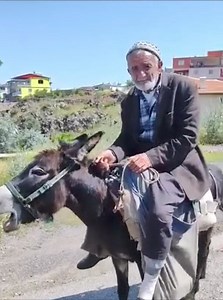 171K views · 2.2K reactions | BABAM | BABAM | Facebook