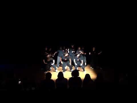 Newbies | Syndissance