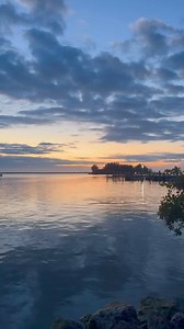 Rise and shine with our flippered friends! These Dolphins are stealing the show! 🌅🐬 📷: @cityofsebastian on ig | Visit Indian River County