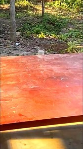 Wood processing...! ✅ #woods #tree #hike #forest #woodworking | Wood Skills | Facebook