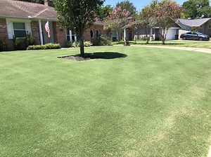 Low Quality After Cut Appearance with Greens Mower