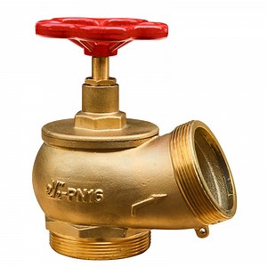 [Hot Item] Fire Rescue Water Supply Facility Double Outlet Type Fire Hydrant