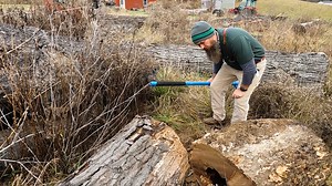 102K views · 849 reactions | Farmer Finds A Surprise Inside Log At His Sawmill | Out of the Woods Forestry | Facebook