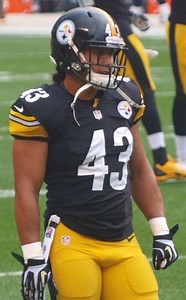 Polamalu, James lead 5-person class into Hall of Fame