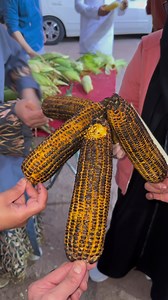 30 reactions · 12 comments | Ang yummy yummy nong mais sa Wadi-Al Baida bagay na bagay sa taglamig 來朗 . #khomsphotography #madinah #wadijinn | Khoms Anong | Facebook