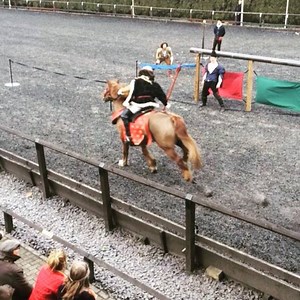 Andy Deane attaches our 'medieval foam boar' in the #skillatarms! #RATournament | Royal Armouries | Facebook