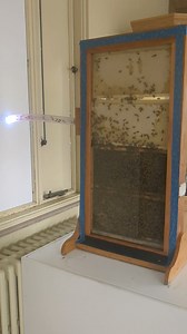 Everhart Museum of Natural History, Science & Art on Reels | Facebook