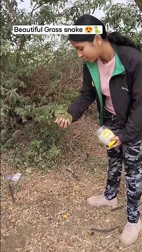 Beautiful Grass snake release in nature 🐍😍😍