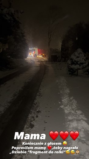 369K views · 5.9K reactions | Jak mama nagra mi fragment do rolki to nie ma lipy. Mam super materiał i to nawet z komentarzem ❤️殺#truckgirl #volvotrucks | Iness | Facebook