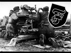 10. SS-Panzer-Division Frundsberg - episode 10, all waffen-SS divisions.