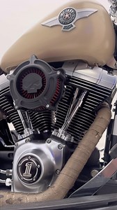 Classic Fat Boy Low 2015  . . . . . . . . . . . . . . . #fatboy #harley #motorcycle #caveira #bodedosasfaltos #serradamantiqueira #serragaucha #rs | Sapico Motos | Facebook