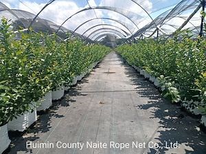 [Hot Item] 80% UV PE Knitted Agriculture Shade Cloth for Greenhouse