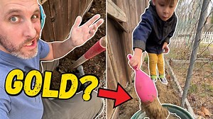 11 reactions | Does the fence post hole hold gold? #goldrush I got...