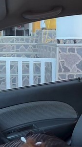 Julie Anton (@Johanna_28517) on X