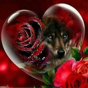 Wolves flowers n hearts | Wolves and wolfpuppys