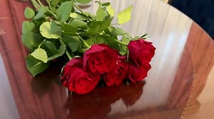 Un bouquet de roses rouges est : vidéo de stock (100 % libre de droit) 3966861623 | Shutterstock