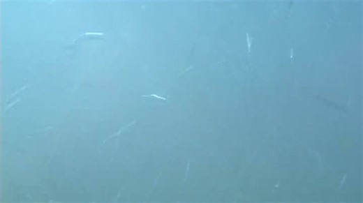 Demi-tarif Пол цены