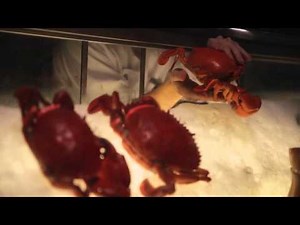 An Exploration with Grand Hyatt Singapore