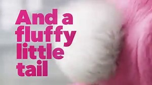 With a new look that’s bigger, better and bunnier, embrace both sides of our fluffy icon: Performance AND personality! | Energizer