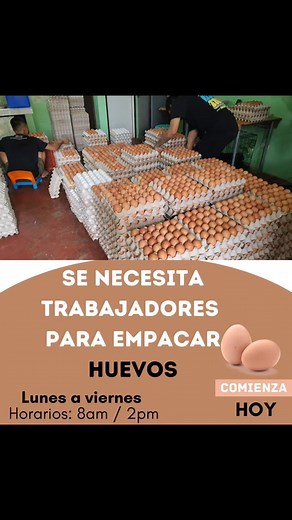 13K views · 31 reactions |        朗  ...