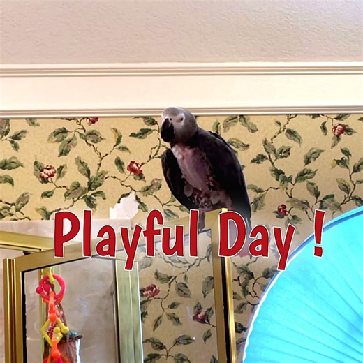 14K views · 1.1K reactions | Embark on a day of joy and activities...