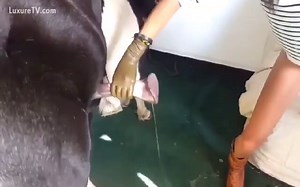 That sure is a lot of cum