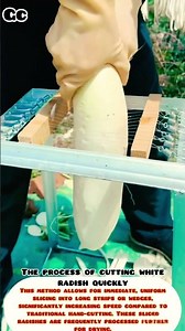 The process of cutting white radish quickly