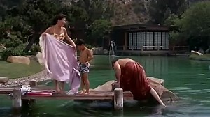 The Geisha Boy (1959)