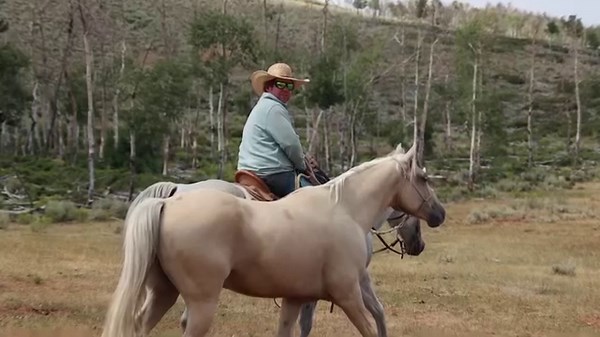 Epic Horseback Adventure 👇👇👇 PM Pear Tree Ranch for more info | Ryan Rose