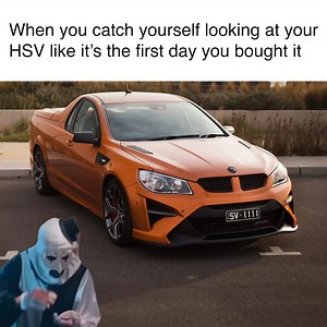 32K views · 386 reactions | 凉 that unconditional kind of love. | HSV - Holden Special Vehicles | Facebook