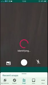 PlantSnap.com identifies Hala (Pandanus tectorius), a species of Pandanus that is native to Malesia, eastern Australia, and the Pacific Islands. | PlantSnap | Facebook