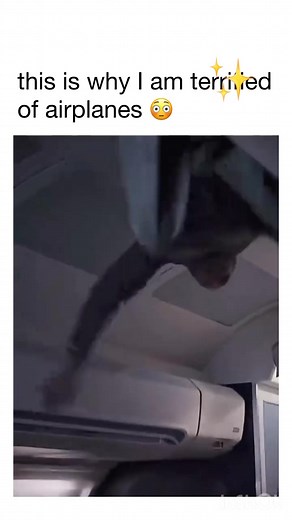 This always will scare me 🎥 Flight 7500:The Emergency Code for a plane hijacking is 7500: a tense, intense thriller, told from the cockpit. A flight from Berlin to Paris. Everyday routine in the cockpit of an Airbus A319. Co-pilot Tobias Ellis is preparing the plane for take-off, which then follows without incident. Then we hear shouting in the passenger cabin. A group of young men try and storm the cockpit, among them 18-year old Vedat. A fight begins between crew and attackers, with the desir