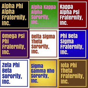 3.6K views · 187 reactions | Alpha Kappa Alpha is proud to partner with @allofusresearch in striving to obtain research that will help to benefit Communities of Color. Go to www.joinallofus.org/together to learn more. #joinallofus #BGLC #AKA1908 | Alpha Kappa Alpha Sorority Incorporated | Facebook