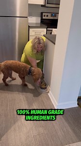 Happy Howl finally solves what all dog owners have been searching for with shelf stable, human-grade dog food. 🧊 NO Freezer or Dry Ice needed! ✅ Single Source Protein 🚫 ZERO Artificial Preservatives 👩‍⚕️ By Canine Nutritionists Try HappyHowl today! | Happy Howl