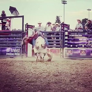 624 Homegrown McCoy/Reese Brush, Colorado | MCCOY RANCH