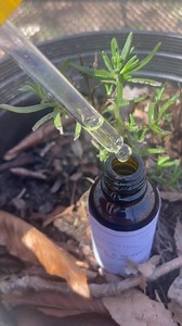 Rosmarin-Traubenkernöl Natürliches Haar-Wachstum-Serum für Geheimratsecken: Pflanzliche dünner werdende Haar-Tinktur-Kopfhautbehandlung - Etsy.de